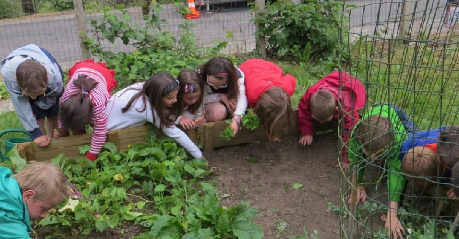 Potager slide site web br
